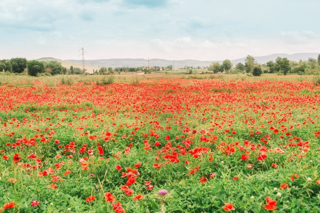 13 Best Towns In Tuscany 33 DSC 0312