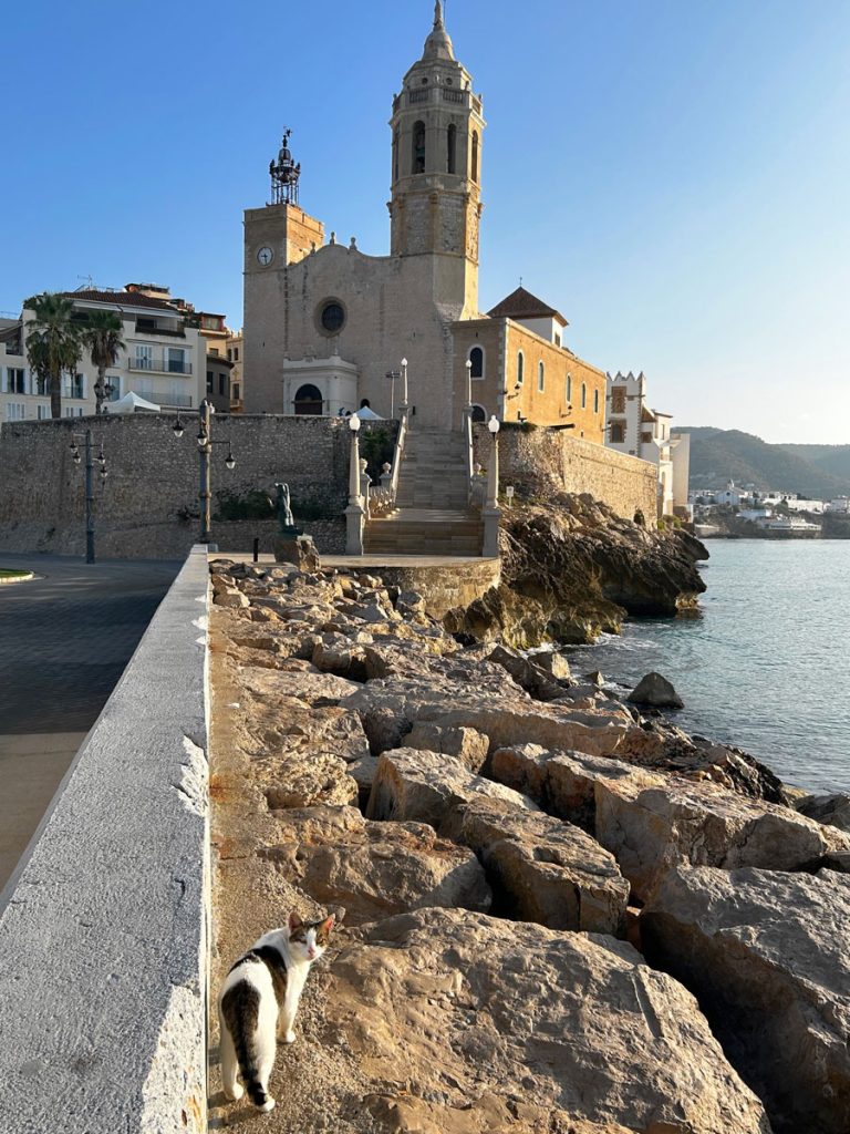 34 Incredible Weekend Trips From Barcelona 14 A cat stands on a rocky seafront promenade in Sitges near Barcelona, with the Church of Sant Bartomeu & Santa Tecla in the background, its bell tower rising against a clear sky.