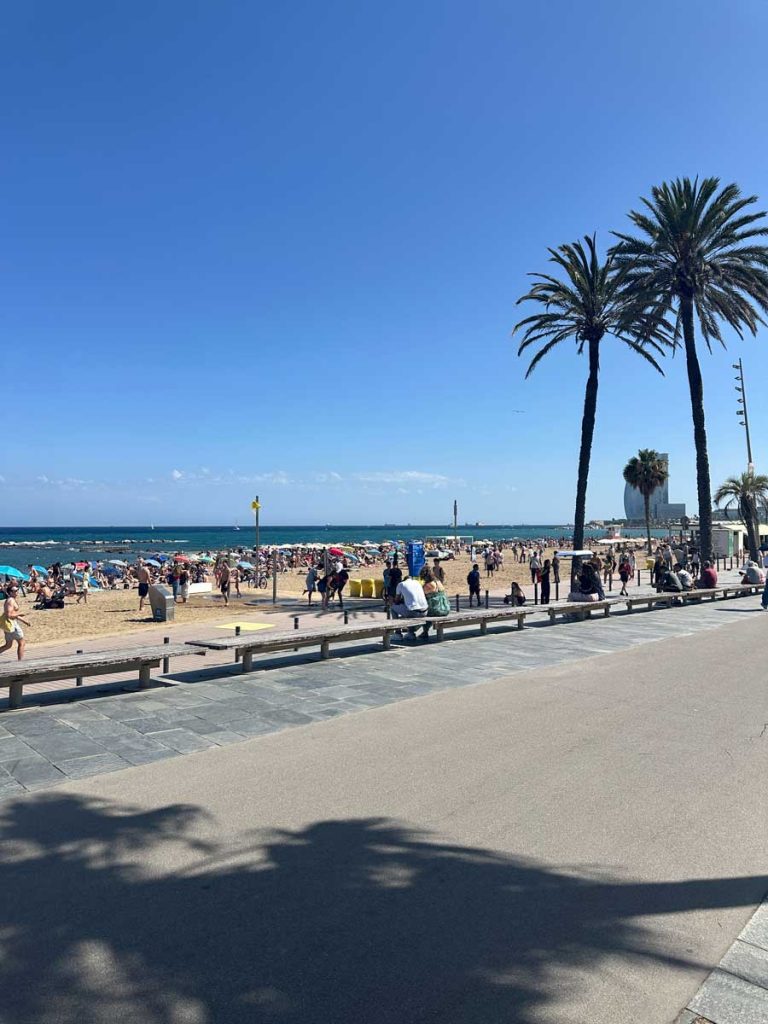 3 Days in Barcelona: The Perfect Itinerary for First-Time Visitors 39 A lively scene at Barceloneta Beach, with people sunbathing on the golden sand, swimming in the blue Mediterranean waters, and walking along the promenade lined with palm trees under a clear sky.