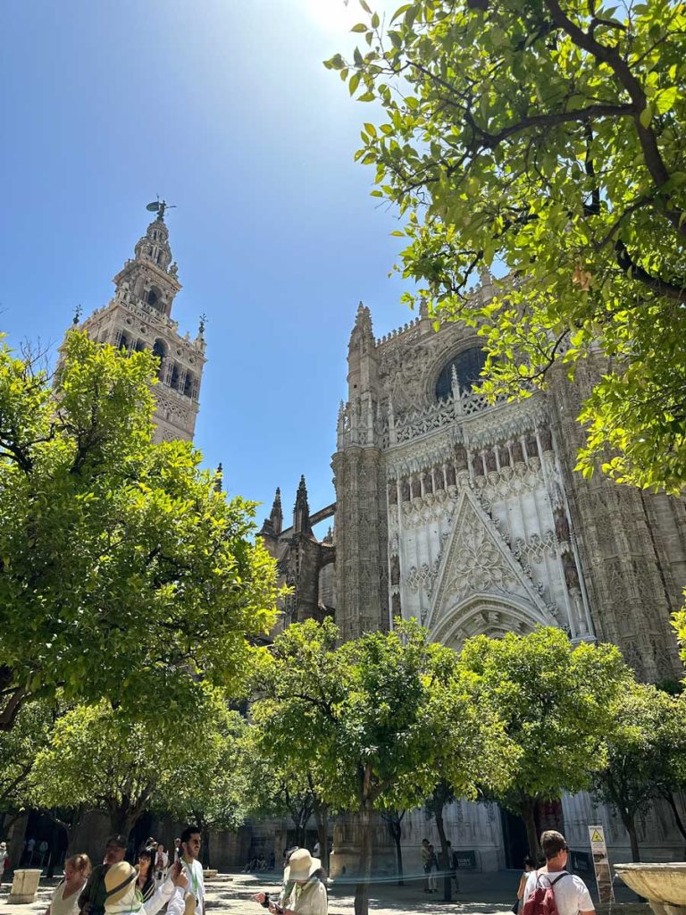 3 Most Amazing Days In Seville, Spain 20 Sunlit view of Seville Cathedral’s ornate exterior and the Giralda bell tower, framed by green orange trees in the foreground.