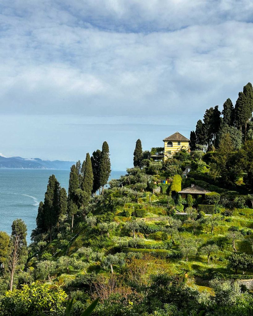 Portofino Or Cinque Terre: Which Is Better? 27 A terraced hillside covered in olive trees and greenery leads up to a yellow villa with sea views and cypress trees in the background.