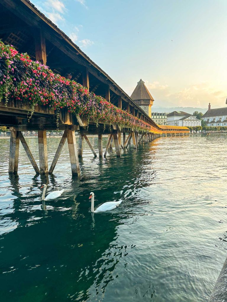 20 Best European Summer Destinations To Visit This Year 21 A historic wooden covered bridge lined with colorful flowers stretches over calm water as two swans swim below at sunset. This romantic European city scene embodies classic Europe bucket list experiences.