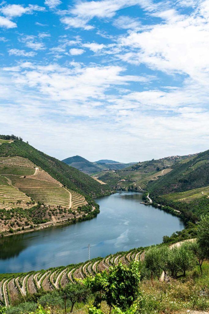 20 Best European Summer Destinations To Visit This Year 34 A winding river curves between terraced green hills and vineyards under a blue sky with scattered clouds. The sweeping landscape reflects iconic European summer travel through wine regions and countryside valleys.