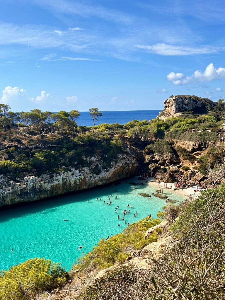 20 Best European Summer Destinations To Visit This Year 36 A hidden turquoise cove surrounded by rocky cliffs and pine trees with swimmers enjoying the clear water. This secluded beach scene showcases unforgettable European summer destinations along the Mediterranean coast.