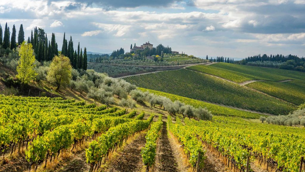 13 Best Towns In Tuscany 23 Rolling green vineyard spreads across the countryside with cypress trees, olive trees, and a farmhouse on the hill beneath dramatic clouds. This landscape fits how to plan travel abroad during uncertainty by highlighting a scenic destination where weather and flexible day plans can matter.